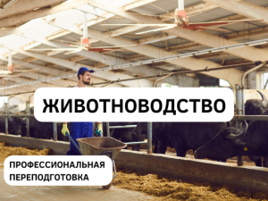 Новый курс профессиональной переподготовки "Животноводство"